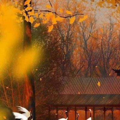 果盘发条英雄官方版下载